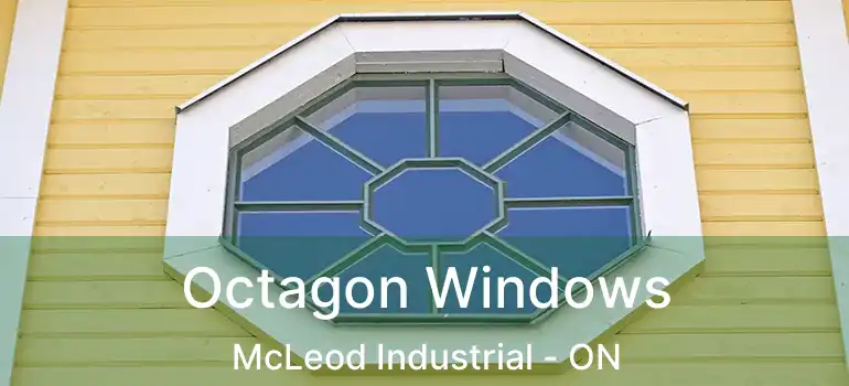  Octagon Windows McLeod Industrial - ON