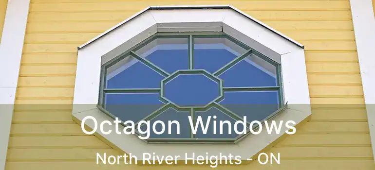  Octagon Windows North River Heights - ON
