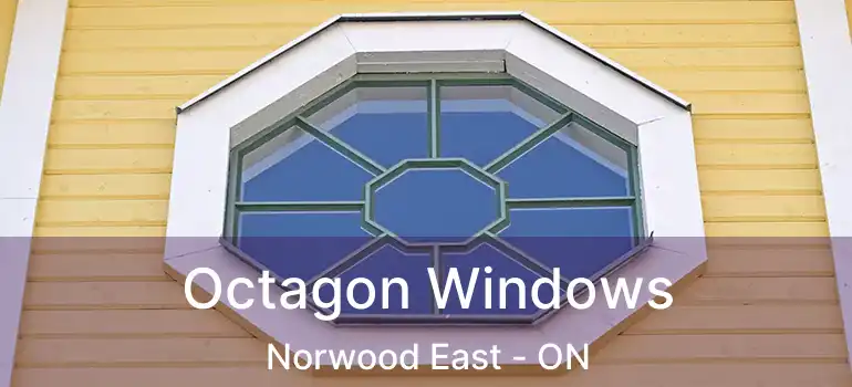  Octagon Windows Norwood East - ON