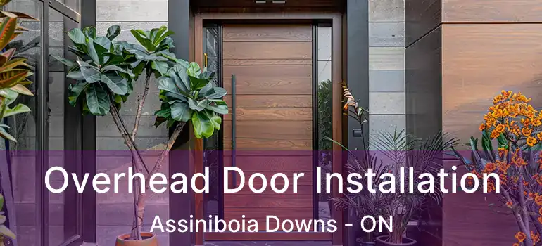  Overhead Door Installation Assiniboia Downs - ON