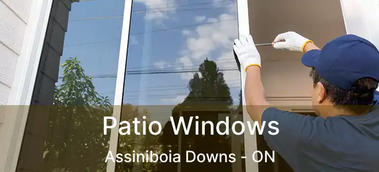  Patio Windows Assiniboia Downs - ON