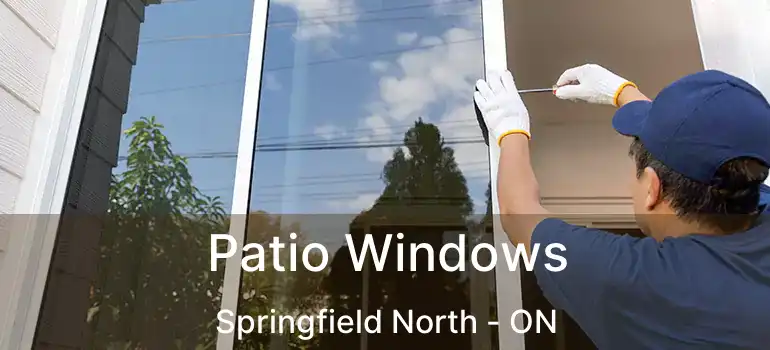  Patio Windows Springfield North - ON