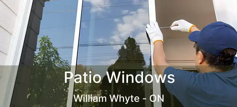 Patio Windows William Whyte - ON
