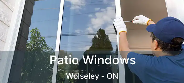  Patio Windows Wolseley - ON