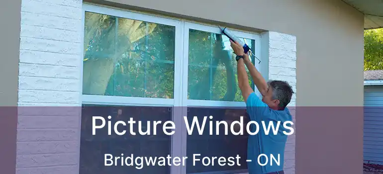  Picture Windows Bridgwater Forest - ON