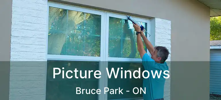 Picture Windows Bruce Park - ON