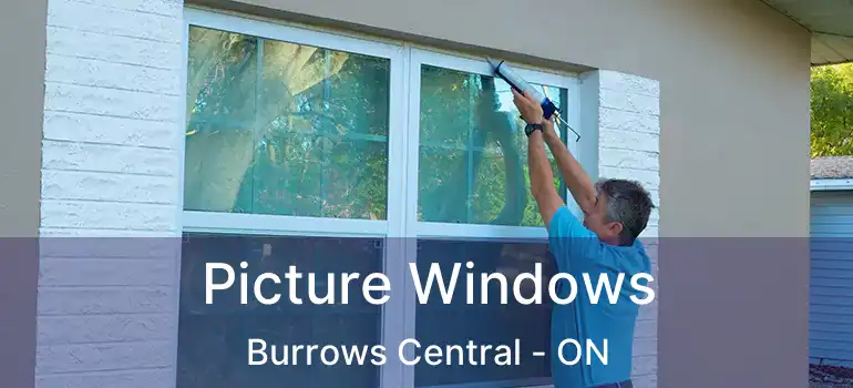  Picture Windows Burrows Central - ON
