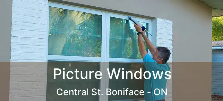  Picture Windows Central St. Boniface - ON