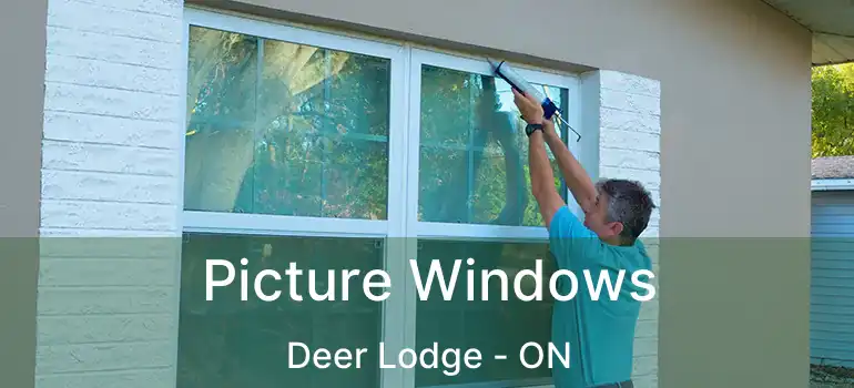  Picture Windows Deer Lodge - ON
