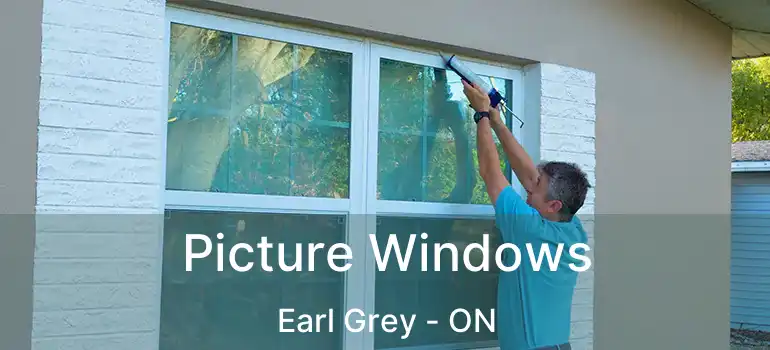  Picture Windows Earl Grey - ON