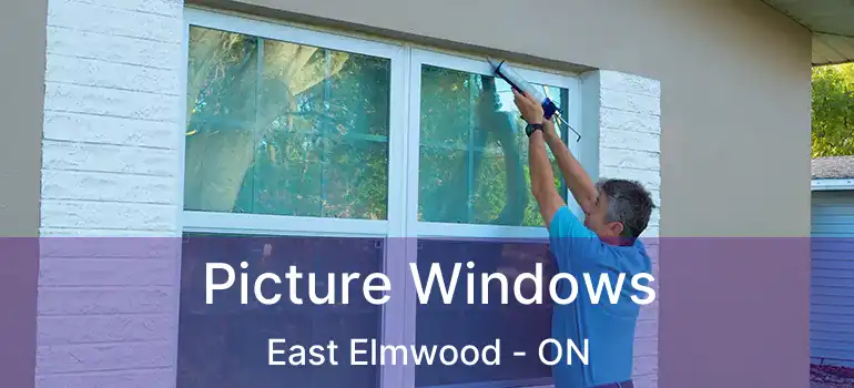  Picture Windows East Elmwood - ON