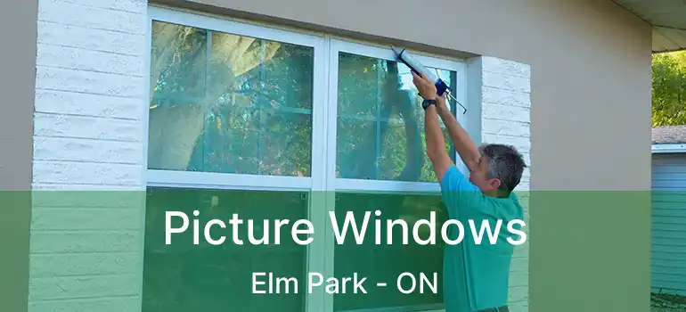  Picture Windows Elm Park - ON
