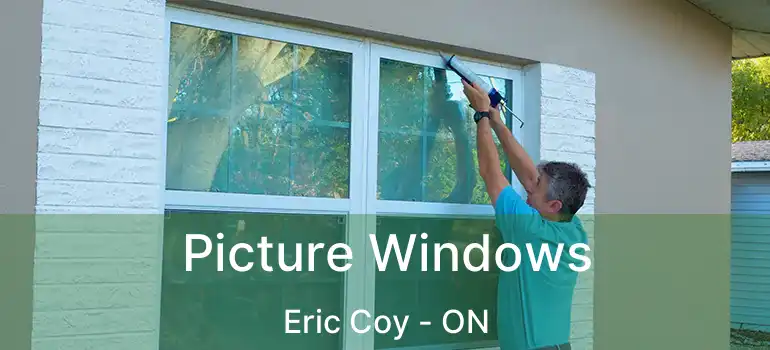 Picture Windows Eric Coy - ON