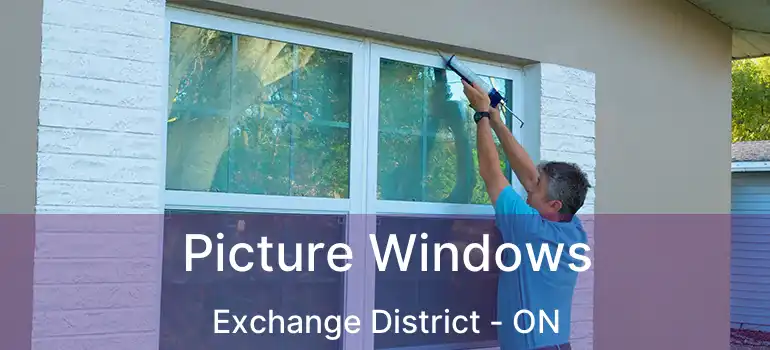  Picture Windows Exchange District - ON