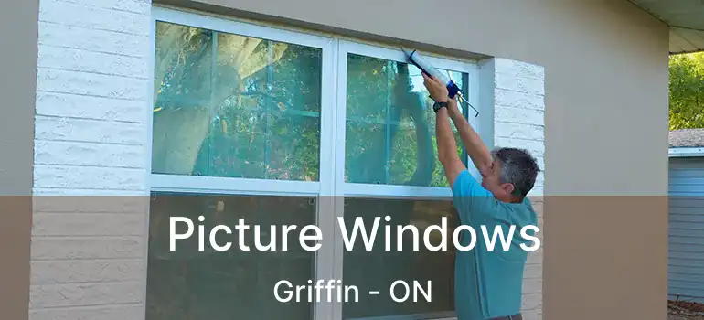  Picture Windows Griffin - ON