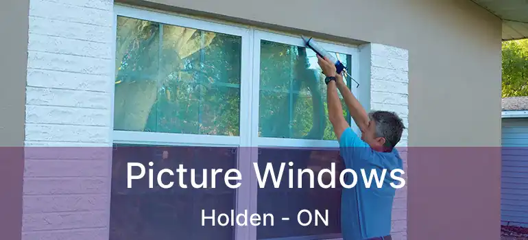  Picture Windows Holden - ON