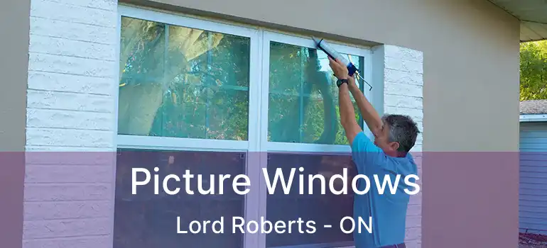  Picture Windows Lord Roberts - ON