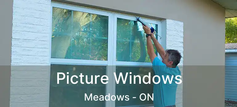  Picture Windows Meadows - ON
