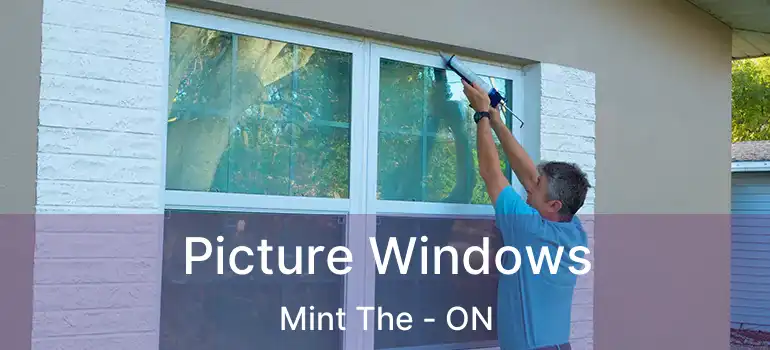  Picture Windows Mint The - ON