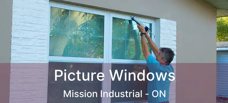  Picture Windows Mission Industrial - ON
