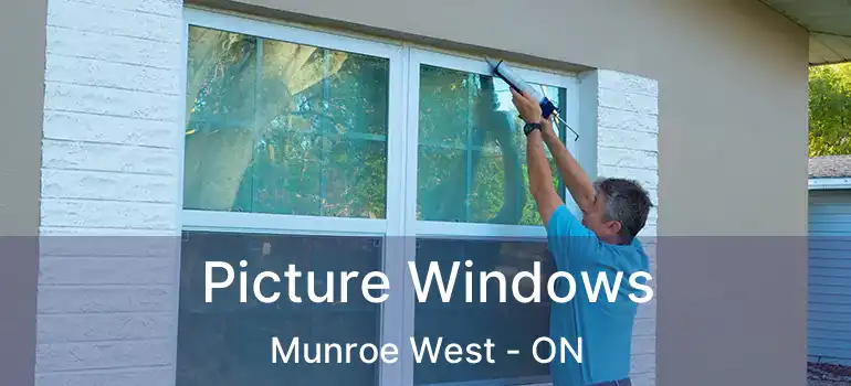  Picture Windows Munroe West - ON