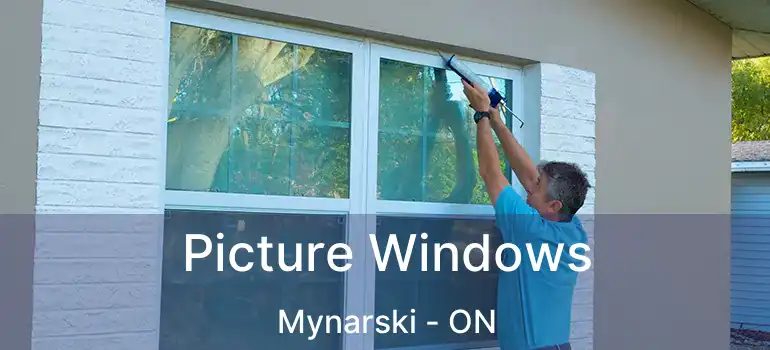  Picture Windows Mynarski - ON