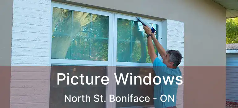  Picture Windows North St. Boniface - ON