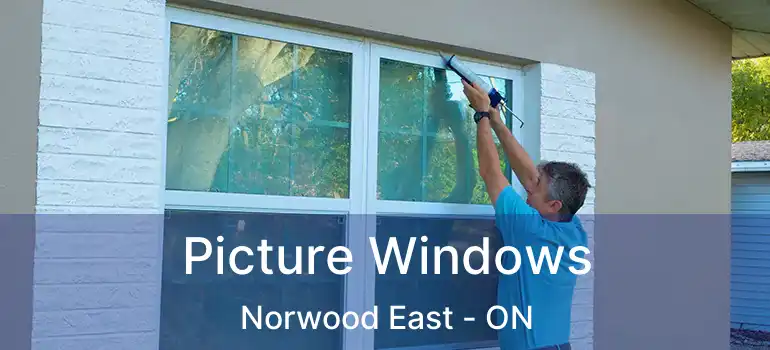  Picture Windows Norwood East - ON
