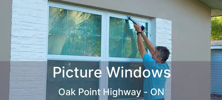  Picture Windows Oak Point Highway - ON