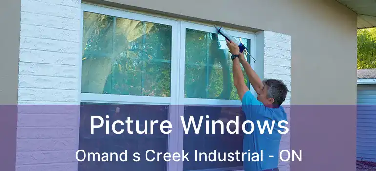  Picture Windows Omand s Creek Industrial - ON
