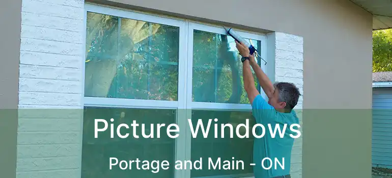  Picture Windows Portage and Main - ON