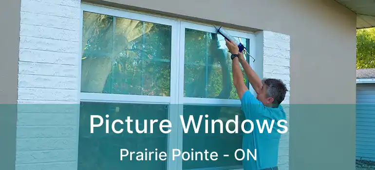  Picture Windows Prairie Pointe - ON