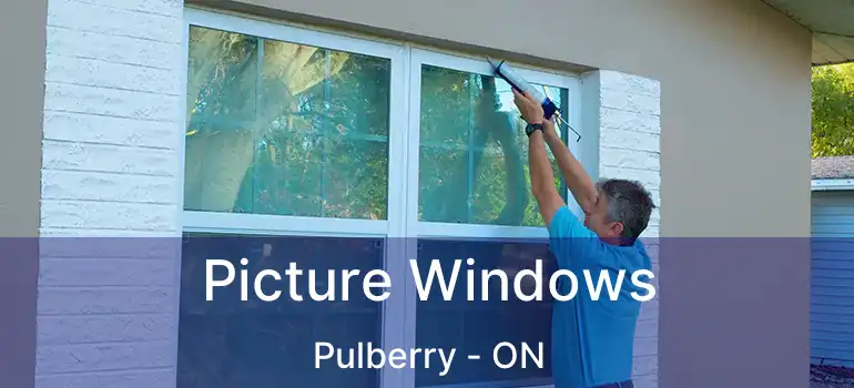  Picture Windows Pulberry - ON