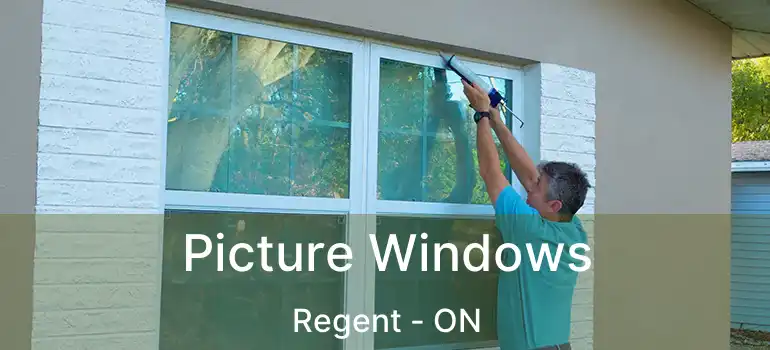  Picture Windows Regent - ON