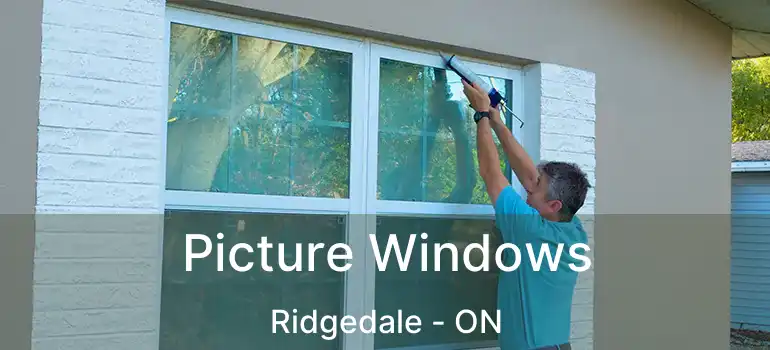  Picture Windows Ridgedale - ON