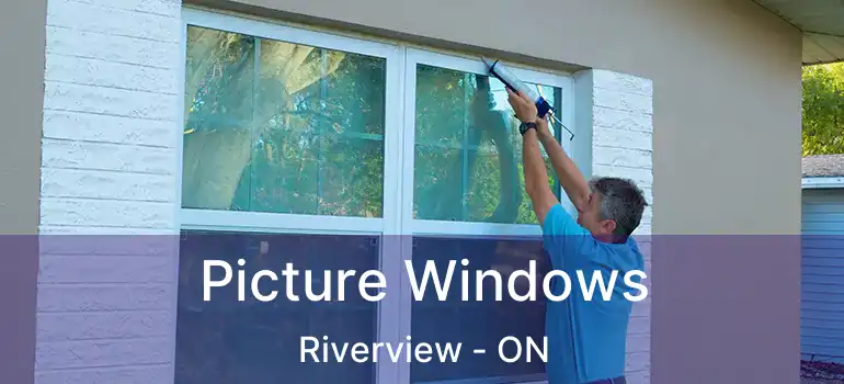  Picture Windows Riverview - ON