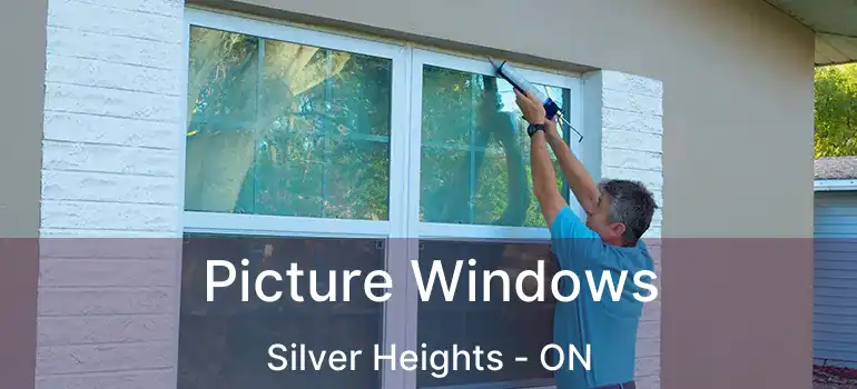  Picture Windows Silver Heights - ON
