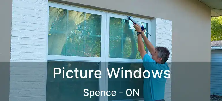  Picture Windows Spence - ON