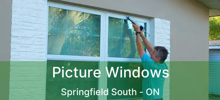  Picture Windows Springfield South - ON