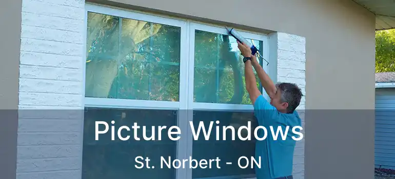  Picture Windows St. Norbert - ON