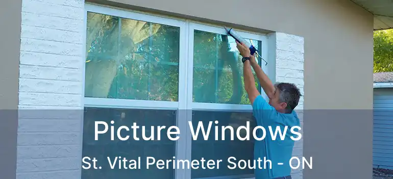  Picture Windows St. Vital Perimeter South - ON