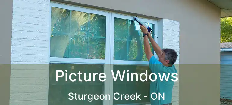 Picture Windows Sturgeon Creek - ON