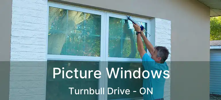  Picture Windows Turnbull Drive - ON