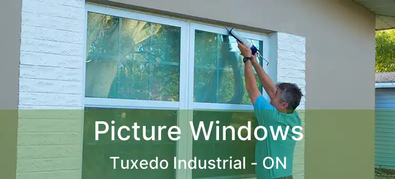 Picture Windows Tuxedo Industrial - ON