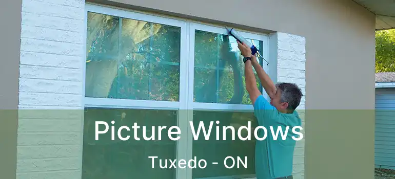  Picture Windows Tuxedo - ON