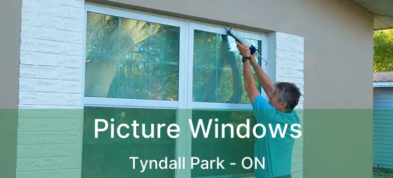  Picture Windows Tyndall Park - ON
