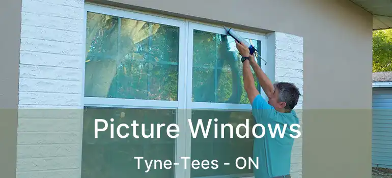  Picture Windows Tyne-Tees - ON