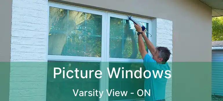  Picture Windows Varsity View - ON