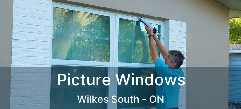  Picture Windows Wilkes South - ON