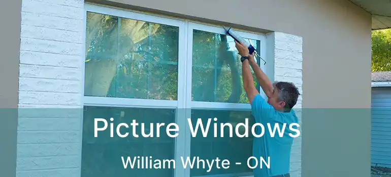  Picture Windows William Whyte - ON
